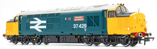 Class 37 Eisteddfod Genedlaethol Large Logo Blue (with Welsh Dragon) 37429 Diesel Locomotive