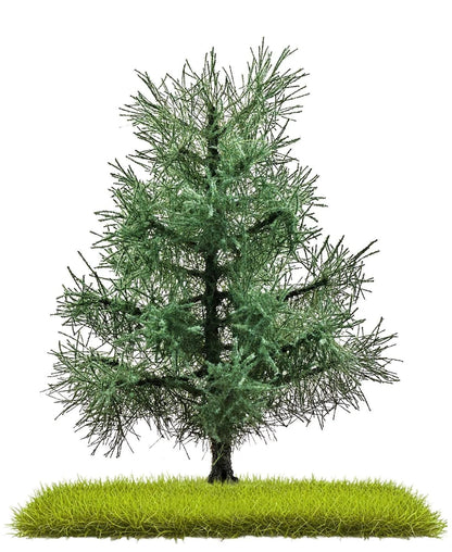 BUS3801 2 Fir trees 80 mm