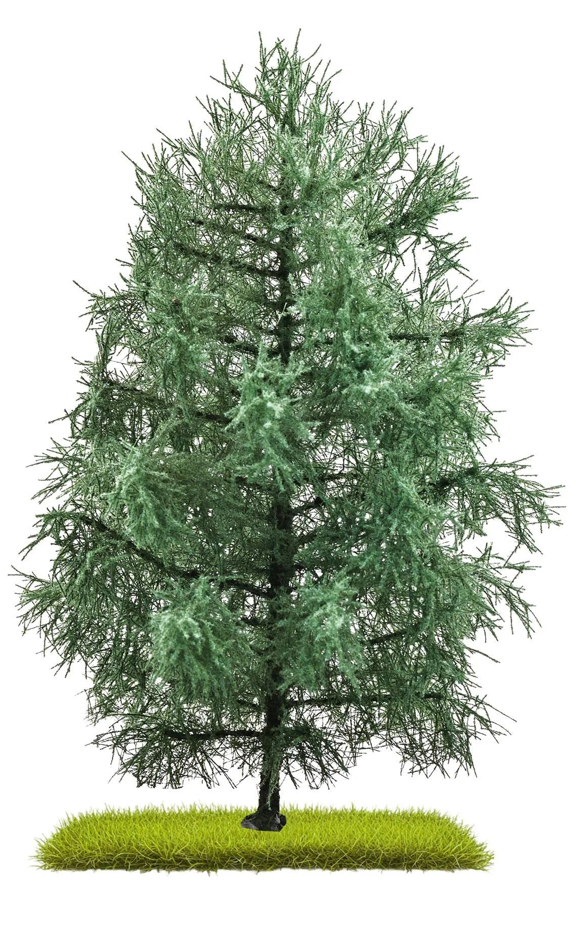 BUS3803 Fir tree 210 mm