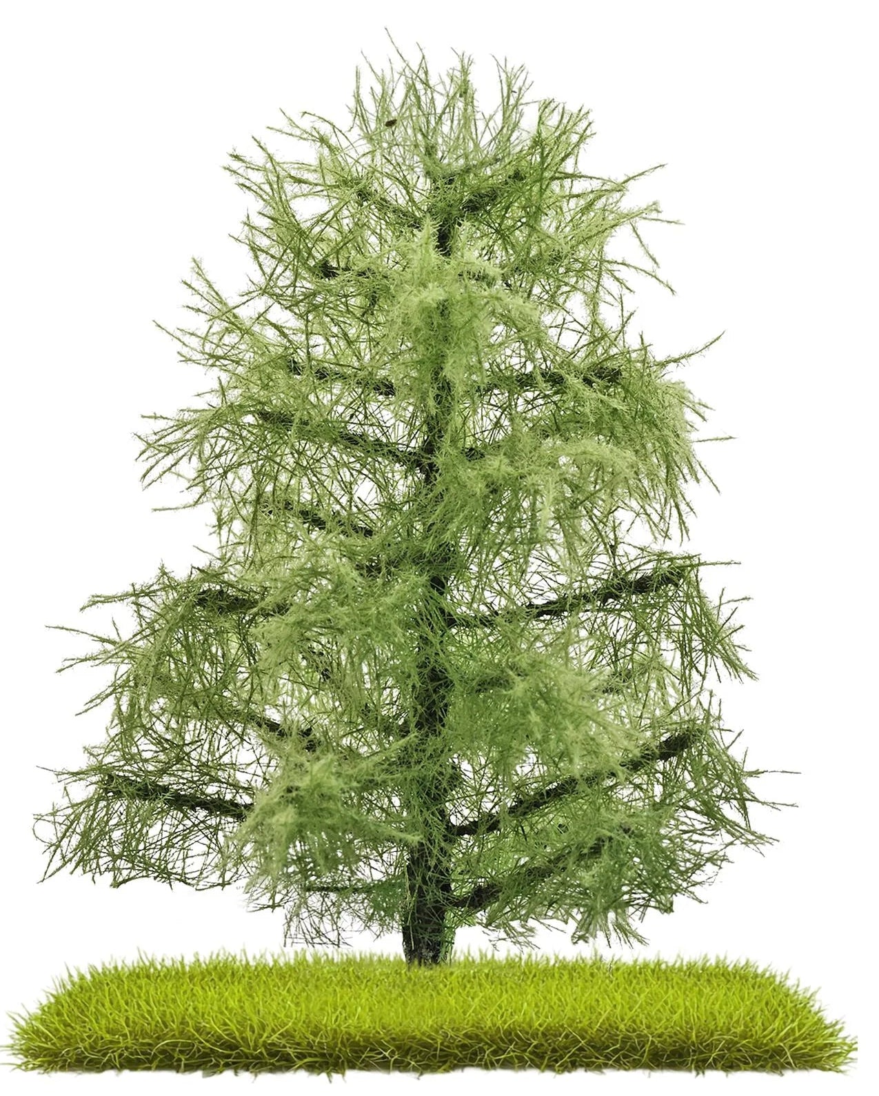 BUS3811 Larches 80 mm, summer