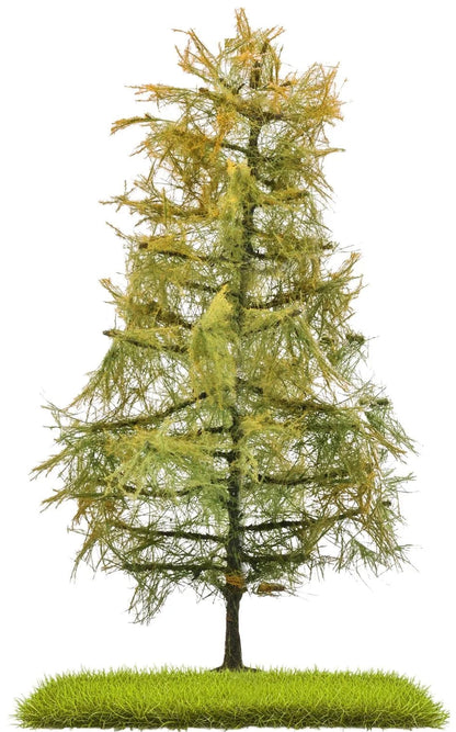 BUS3816 Larch 140 mm, late summer bicolored bicolored