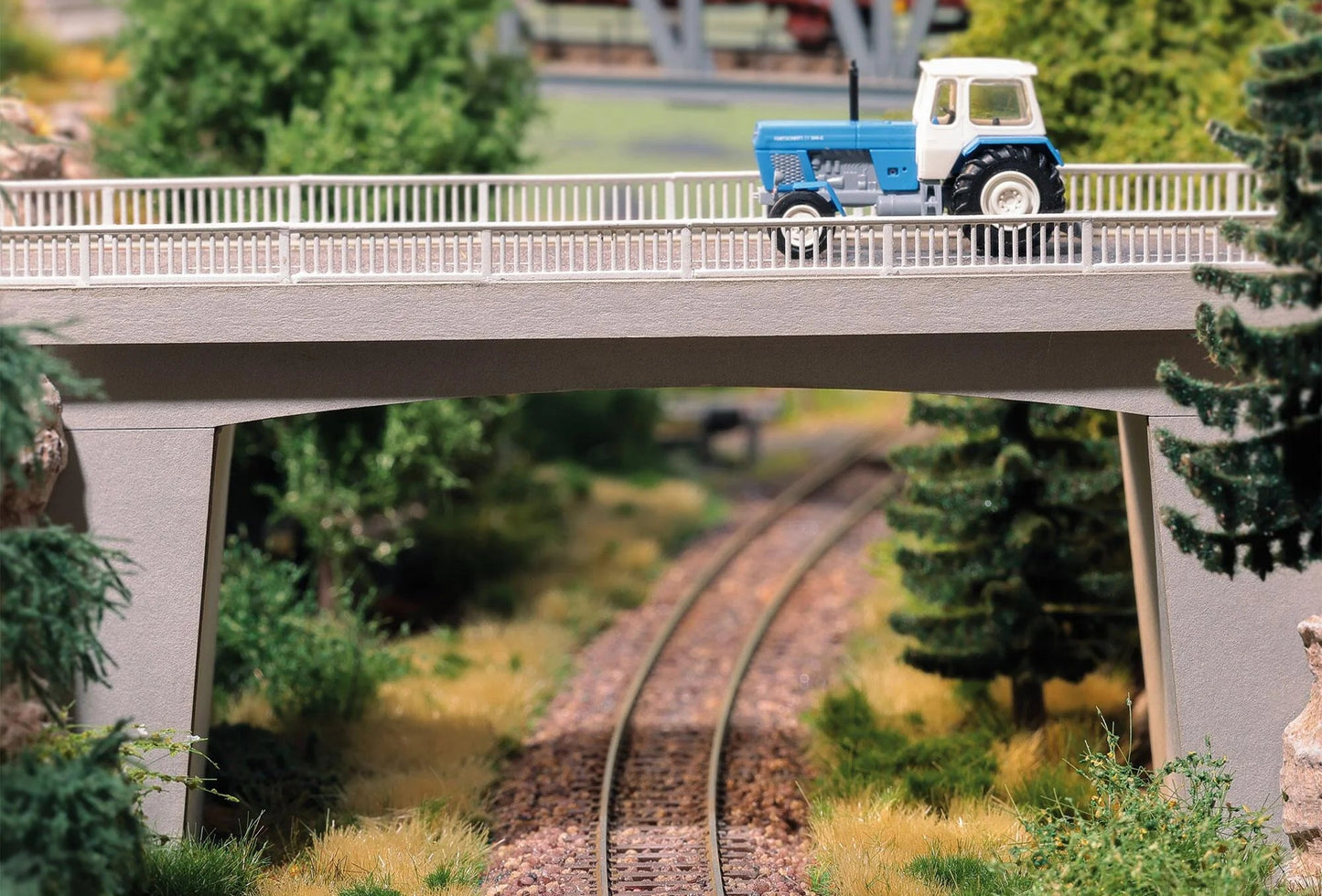 BUS8151 Railway overpass