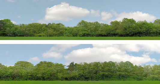 Art Printers Trees OO Gauge 15" High Backscene