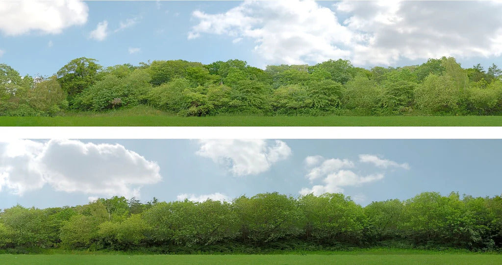Art Printers Trees OO Gauge 15" High Backscene
