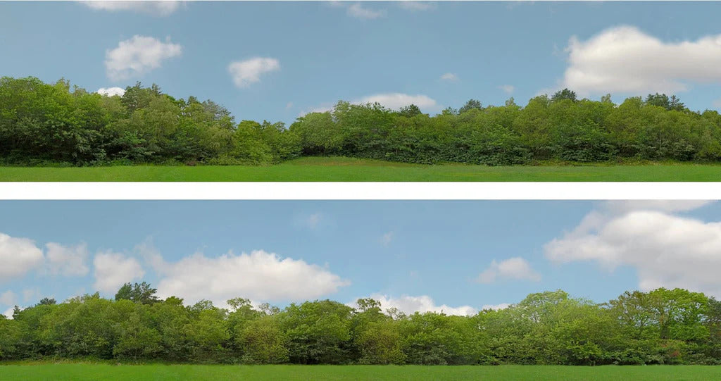 Art Printers Trees OO Gauge 15" High Backscene