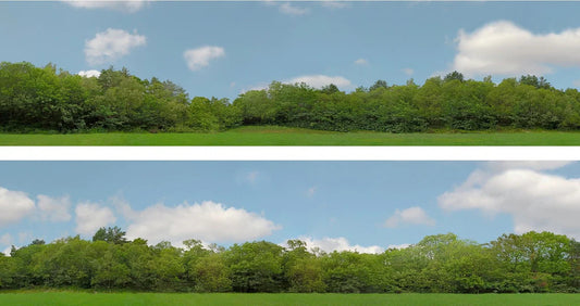 Art Printers Trees OO Gauge 15" High Backscene