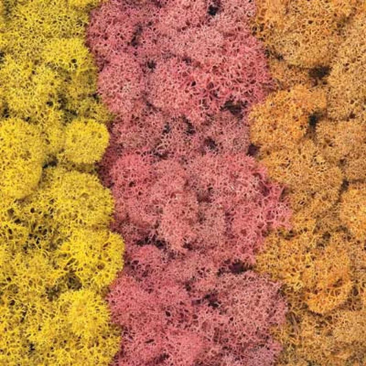 Lichen EX.1012 Autumn Mix 50g