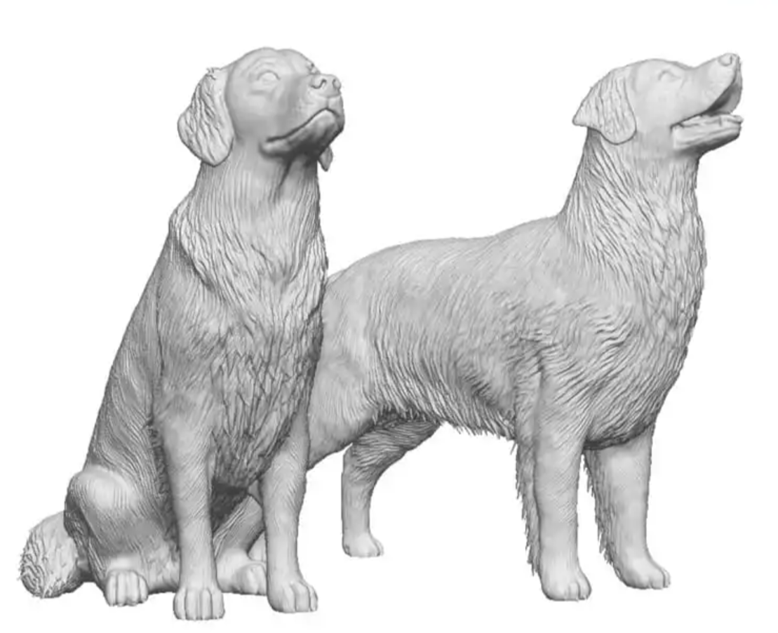 O Gauge - Pets, Wildlife & Livestock - Golden Retrievers x2