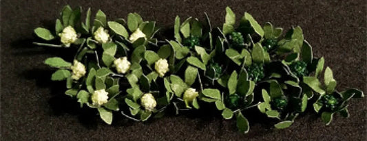 TAS074312 Railway Scenery N-gauge 00915 - Broccoli & Cauliflowers (18)