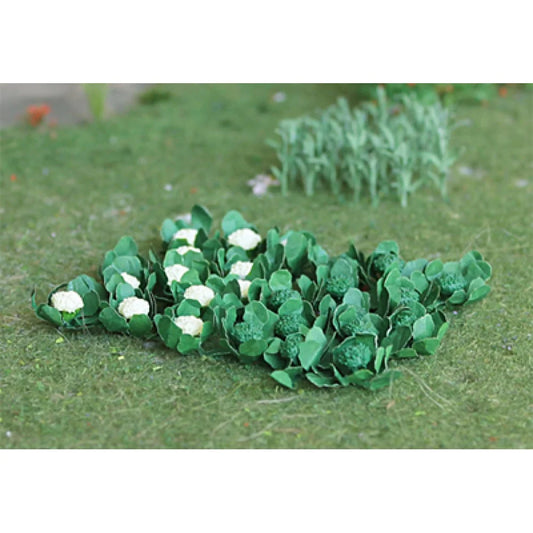 00684- Broccoli & Cauliflowers (18/pack)