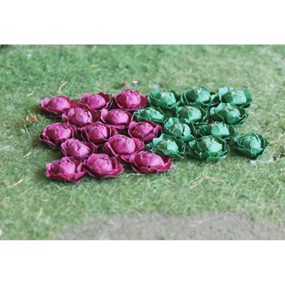 00683 - Cabbages (18/pack)
