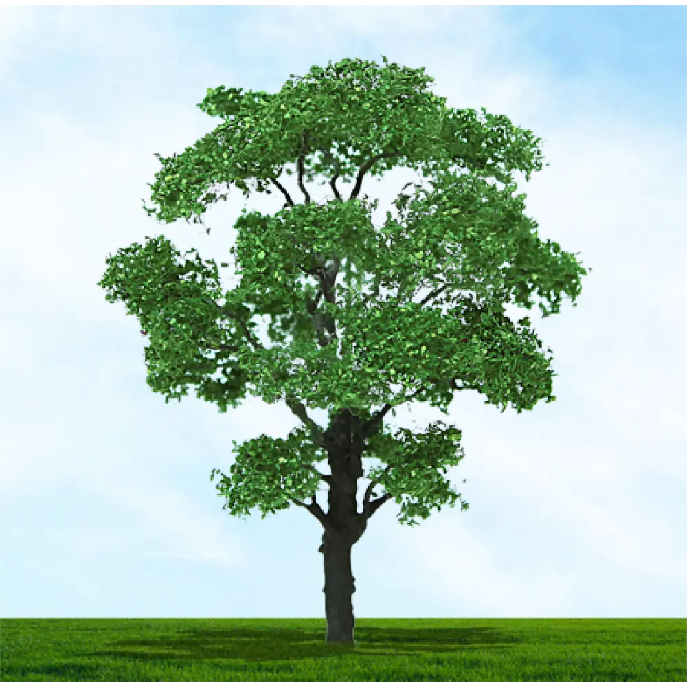 Premium Trees 3958 N Gauge Chestnut 38/50mm (4/pack)