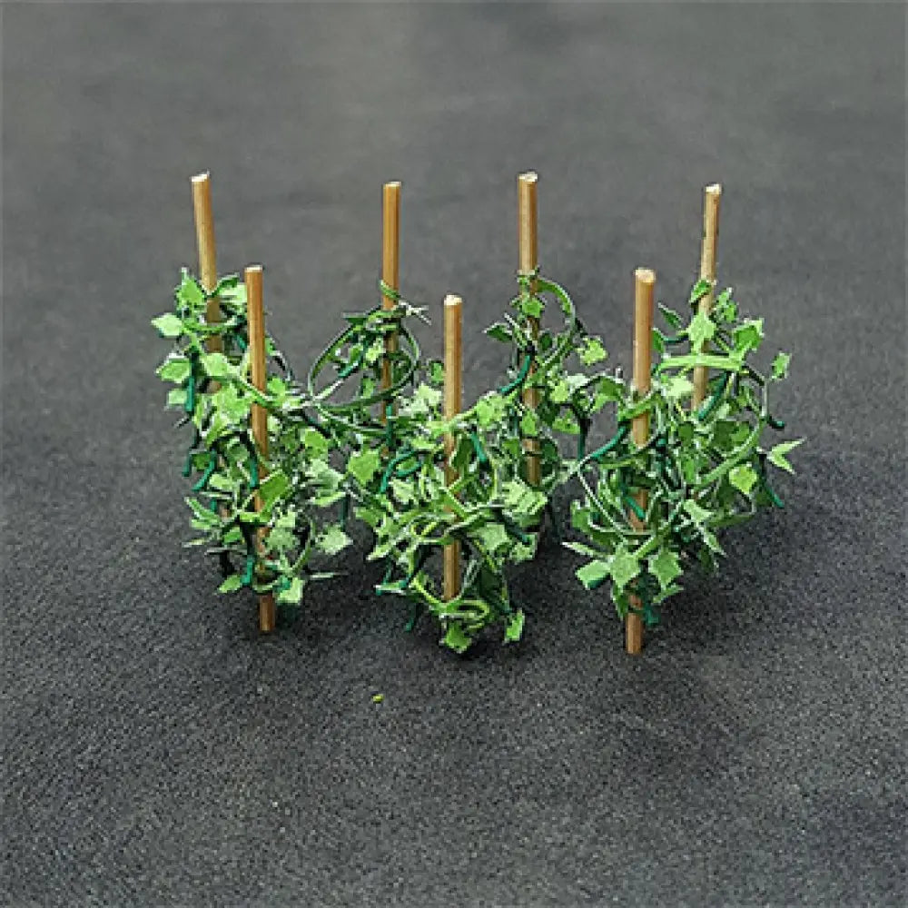 00992 Cucumber (12/pack)