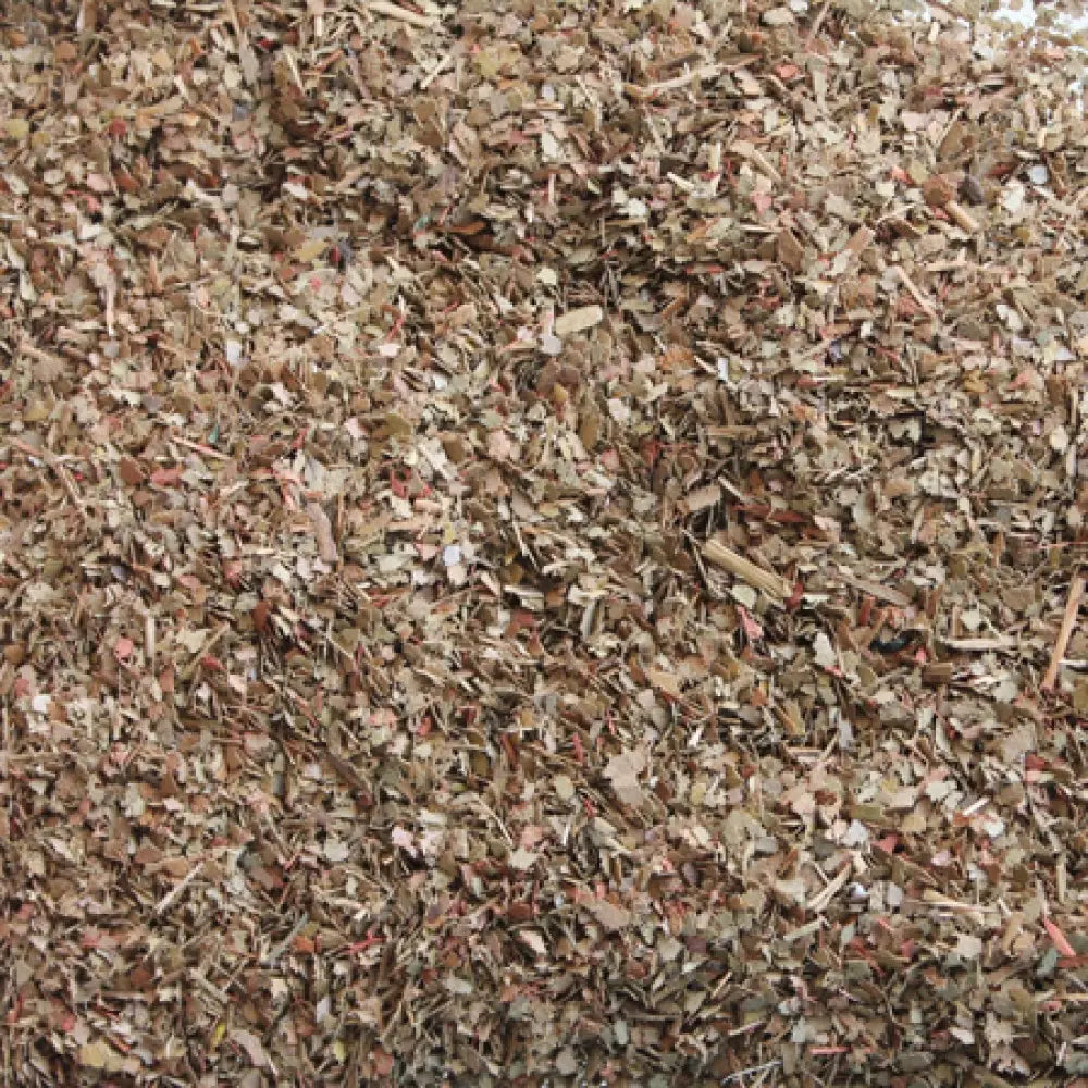 00935 Dried Leaves