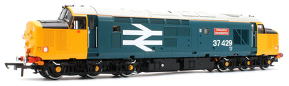 ACC3155 Class 37 Eisteddfod Genedlaethol Large Logo Blue (with Welsh Dragon) 37429 Diesel Locomotive