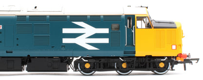 Pre-Owned ACC3164-DCC Class 37 Eisteddfod Genedlaethol Large Logo Blue (with Welsh Dragon) 37429 Diesel Locomotive - DCC Sound
