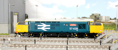 ACC3155 Class 37 Eisteddfod Genedlaethol Large Logo Blue (with Welsh Dragon) 37429 Diesel Locomotive