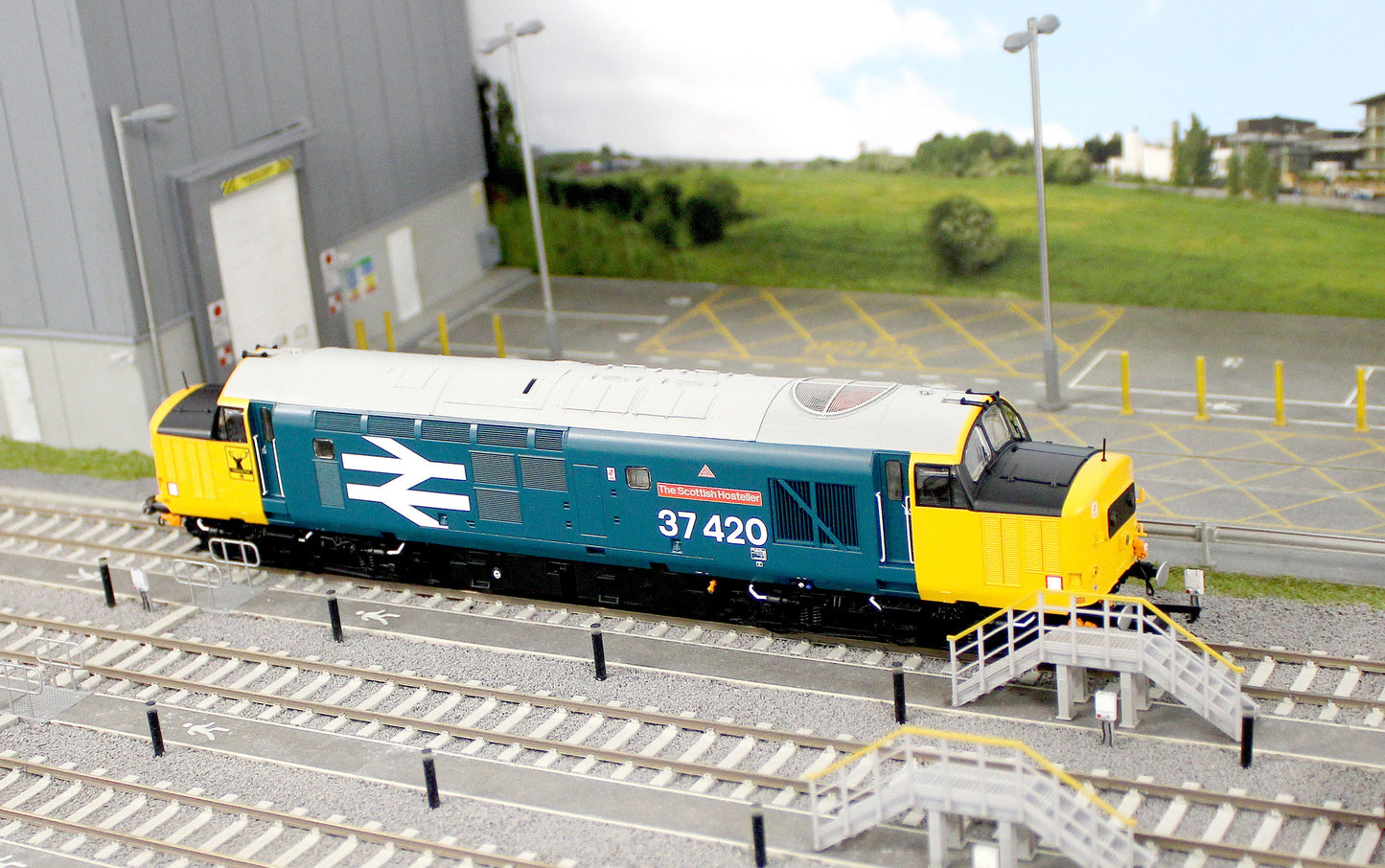 ACC3153 Class 37 The Scottish Hosteller Large Logo (with Highland ‘Stag’) 37420 Diesel Locomotive