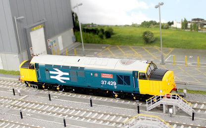 ACC3155 Class 37 Eisteddfod Genedlaethol Large Logo Blue (with Welsh Dragon) 37429 Diesel Locomotive