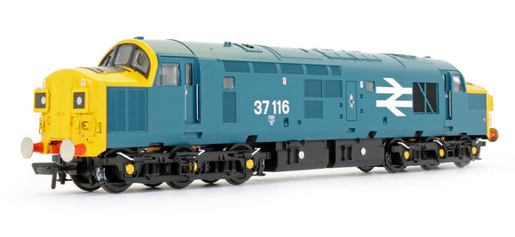 Pre-Owned Class 37/0 37116 BR Blue Diesel Locomotive (Regional Exclusive Model)