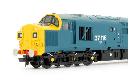 Pre-Owned Class 37/0 37116 BR Blue Diesel Locomotive (Regional Exclusive Model)