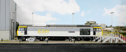 Bespoke Class 60 60063 'Robert Leech' ESH Rail Services Grey Diesel Locomotive - DCC Sound - Expert Rails Bespoke Re-livery