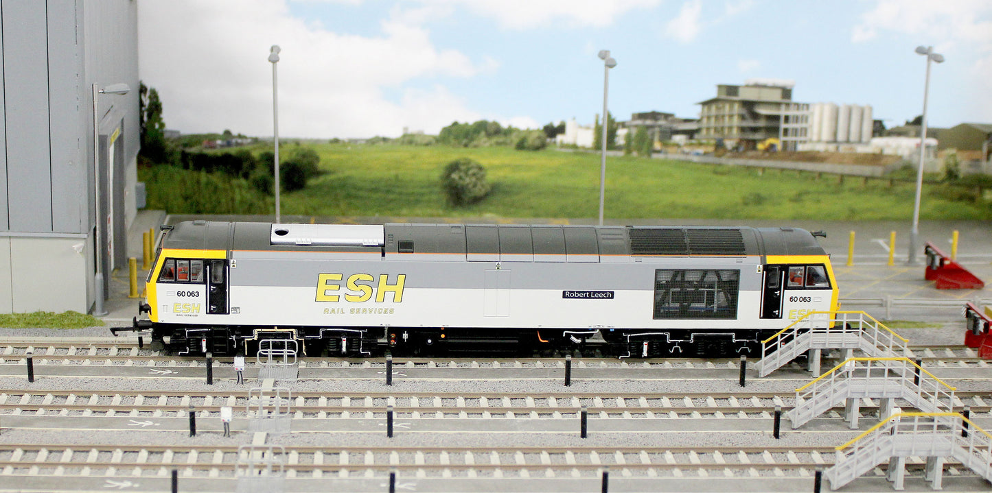 Bespoke Class 60 60063 'Robert Leech' ESH Rail Services Grey Diesel Locomotive - DCC Sound - Expert Rails Bespoke Re-livery