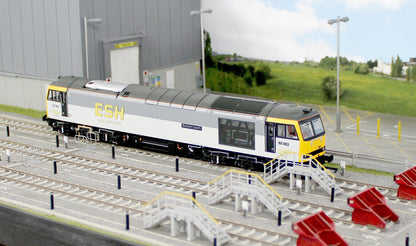 Bespoke Class 60 60063 'Robert Leech' ESH Rail Services Grey Diesel Locomotive - DCC Sound - Expert Rails Bespoke Re-livery