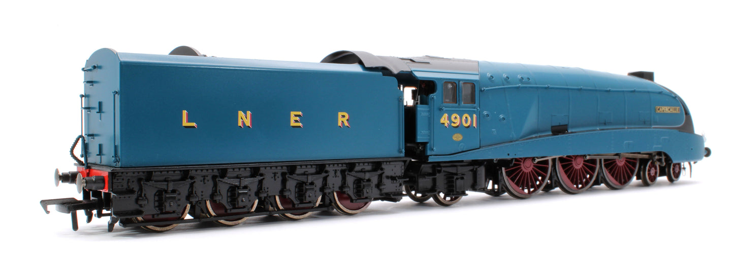 Black Label Class A4 Capercaillie LNER Garter Blue Valanced 4-6-2 No.4901 Steam Locomotive - DCC Sound & Smoke