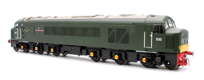 Pre-Owned 45102 Class 45/0 'Royal Inniskilling Fusilier' D63 BR Economy Green (small yellow panel) Diesel Locomotive