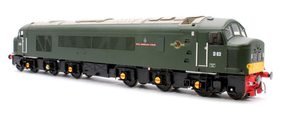 Pre-Owned 45102 Class 45/0 'Royal Inniskilling Fusilier' D63 BR Economy Green (small yellow panel) Diesel Locomotive
