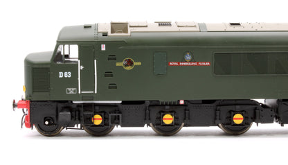 Pre-Owned 45102 Class 45/0 'Royal Inniskilling Fusilier' D63 BR Economy Green (small yellow panel) Diesel Locomotive