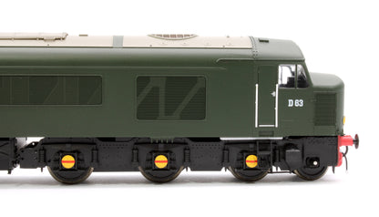 Pre-Owned 45102 Class 45/0 'Royal Inniskilling Fusilier' D63 BR Economy Green (small yellow panel) Diesel Locomotive