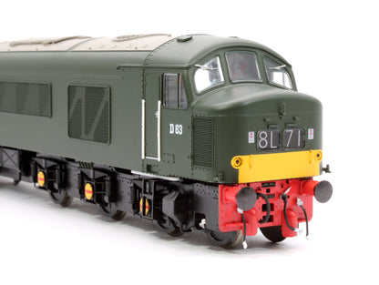 Class 45/0 'Royal Inniskilling Fusilier' D63 BR Economy Green (small yellow panel) Diesel Locomotive