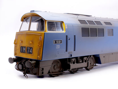 Class 52 D1031 BR Blue  Western Rifleman (full yellow ends) Diesel Locomotive - Weathered