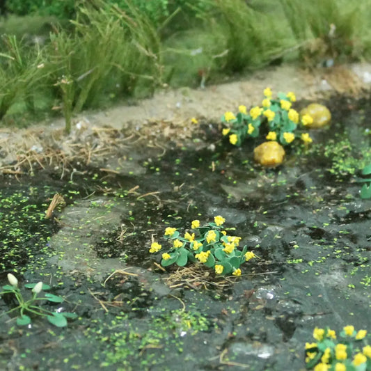 00376 - Marsh Marigold (14 per pack)