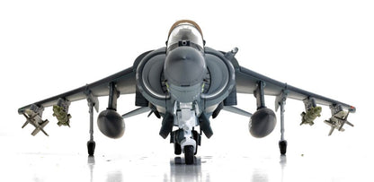 McDonnell Douglas AV-8B+ Harrier II - 165001/01 - VMA-214 'Black Sheep'