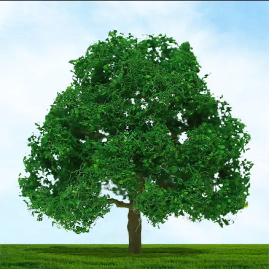 004009 Premium Trees 00 Gauge Oak 75/100mm (2/pack)