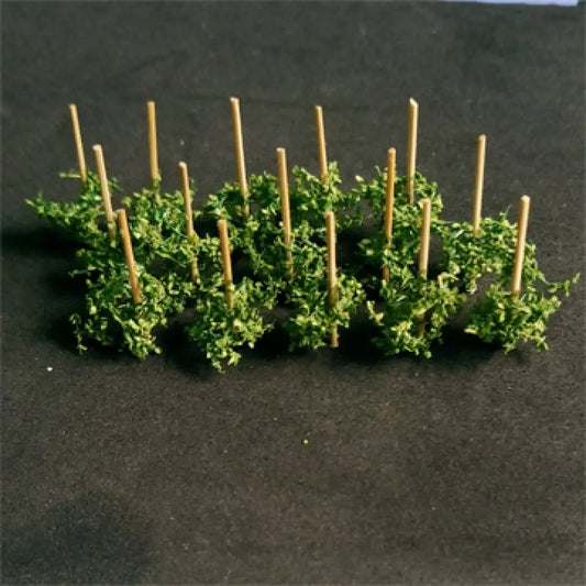 00911 - Runner Beans (14/pack)
