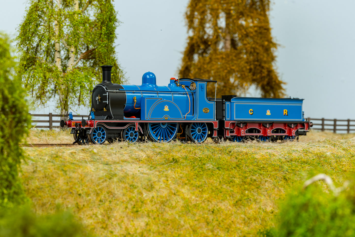 Caledonian Railway Single 4-2-2 Caledonian Blue No.123 (Railtour Condition) Steam Locomotive - DCC Sound