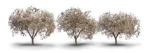 TR3594 1¾"- 2¼" Cherry Blossom Trees (3/Pk)