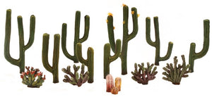 TR3600 ½"-2½" Classic Cactus Plants (13/Pk)