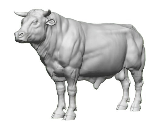 N Gauge Pets, Wildlife & Livestock - Bull with Horns