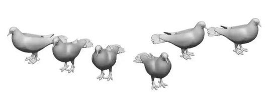 N Gauge Pets, Wildlife & Livestock Pigeons- Pack of 10