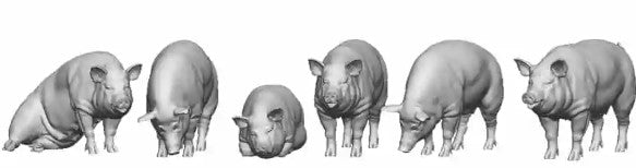 N Gauge Pets, Wildlife & Livestock - Pigs - Pack of 6