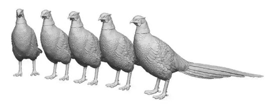 N Gauge Pets, Wildlife & Livestock - Pheasants - Pack of 5