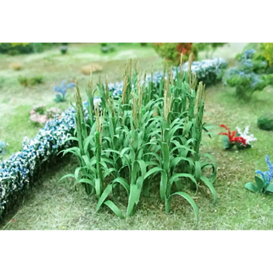 00680 - Sweetcorn/Maize (32/pack)