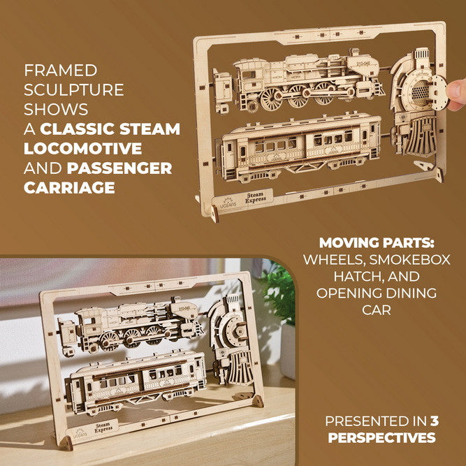 Steam Express 2.5D Puzzle Mechanical Model Kit