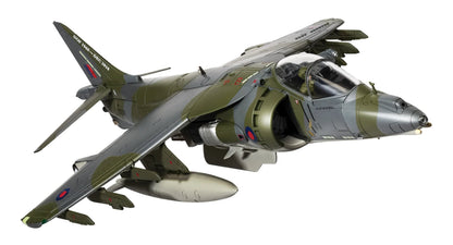 AA29302 BAe Harrier GR9A, ZG506/P77 'Ninja 1' , Cottesmore Wing, RAF Cottesmore, Final Flight Retirement scheme, December 15 2010