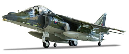 AA29302 BAe Harrier GR9A, ZG506/P77 'Ninja 1' , Cottesmore Wing, RAF Cottesmore, Final Flight Retirement scheme, December 15 2010